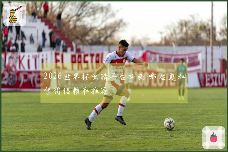 2026世界杯竞猜平台评测 哪些更加值得信赖和推荐