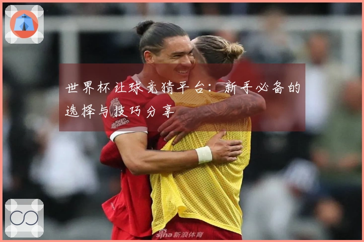 世界杯让球竞猜平台：新手必备的选择与技巧分享