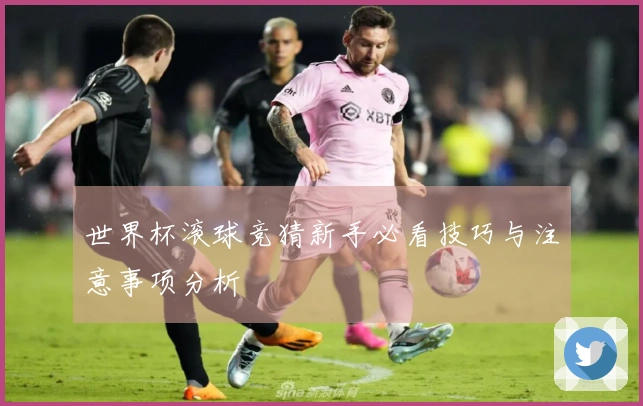 世界杯滚球竞猜新手必看技巧与注意事项分析