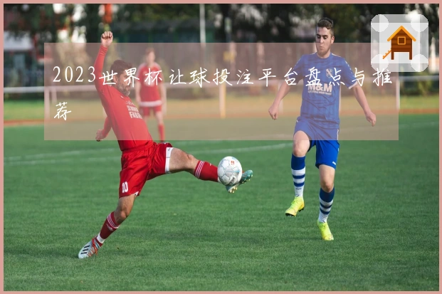 2023世界杯让球投注平台盘点与推荐