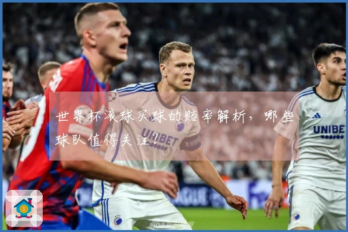 世界杯滚球买球的赔率解析，哪些球队值得关注？