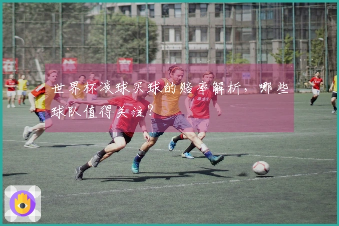 世界杯滚球买球的赔率解析，哪些球队值得关注？