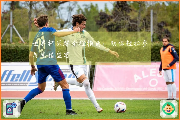 世界杯买球全程指南，助你轻松参与竞猜盛宴